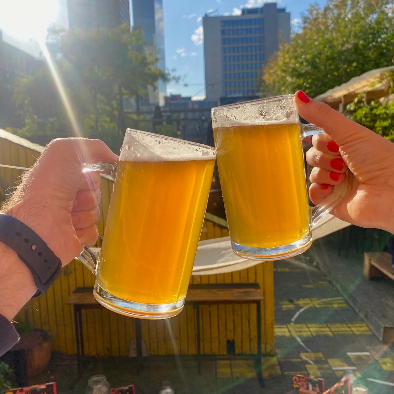 The Hague Beer Tour